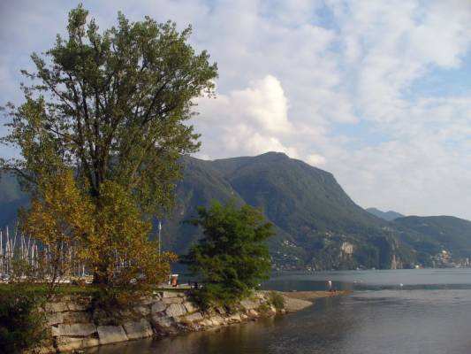 ������������