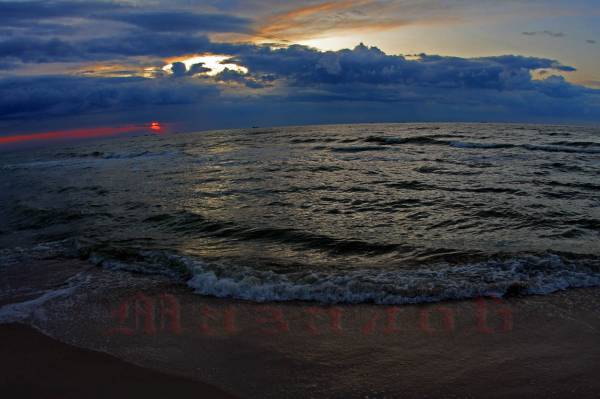 8745****  �����    � ������, ,,,,,,,,,,,,,