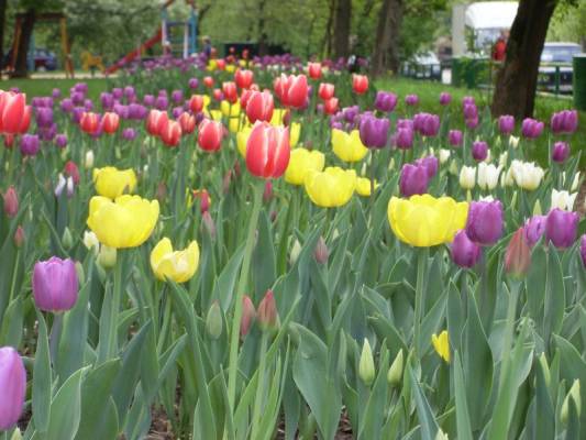 ��������