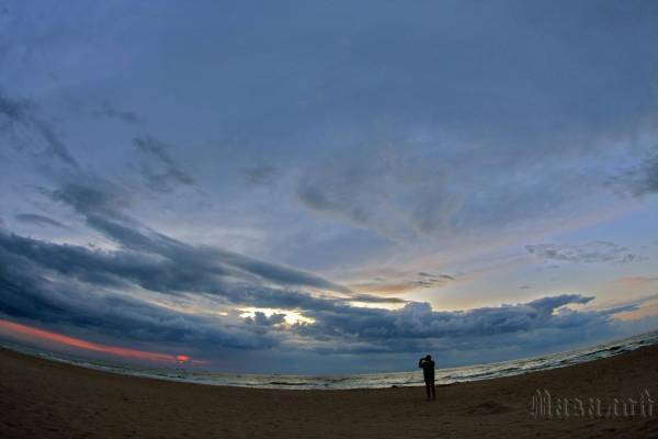 8733**********�� ������  � ������ 