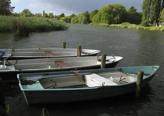 ��� ��������� �...