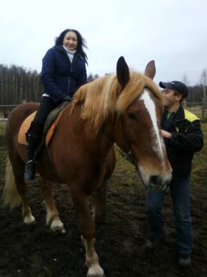 �������� �� �������