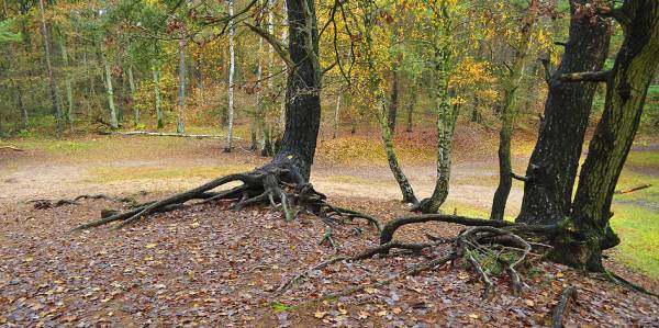 �������, ����...