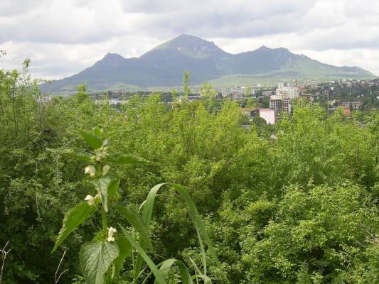 ���������� �����