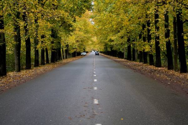 ������ ����� 