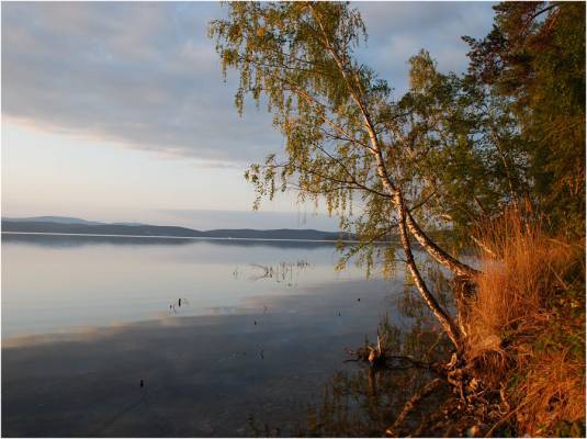 ������ ����