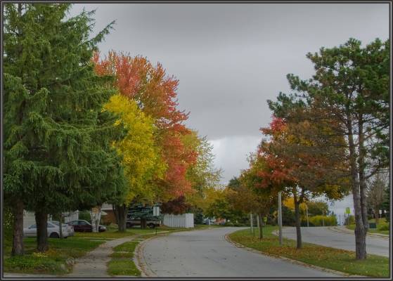 ��������� ����