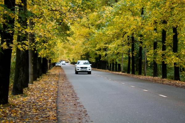 ������� ������� 