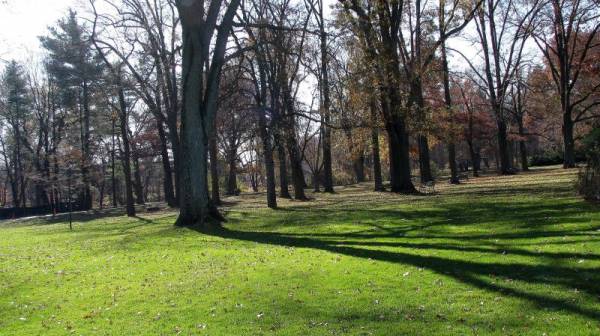 ������� ����. �����������.