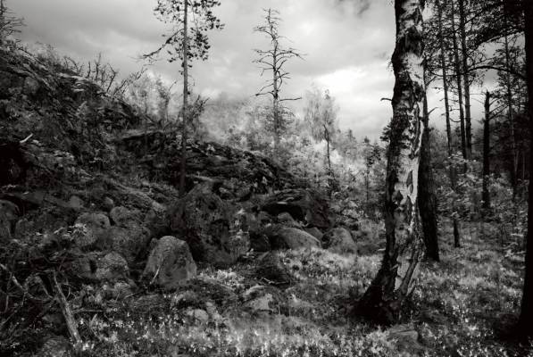 ���������� ������