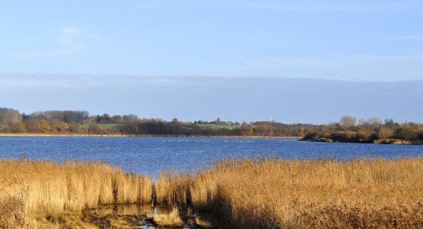 ��������� �����