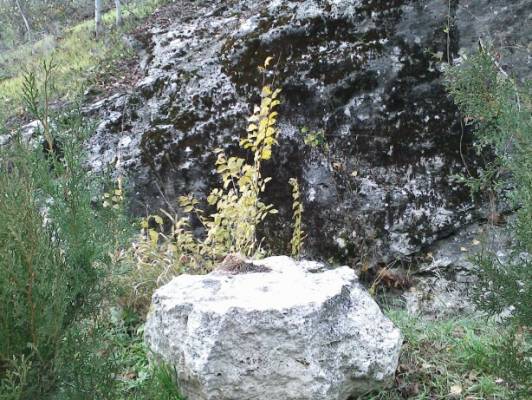 ������ � ������