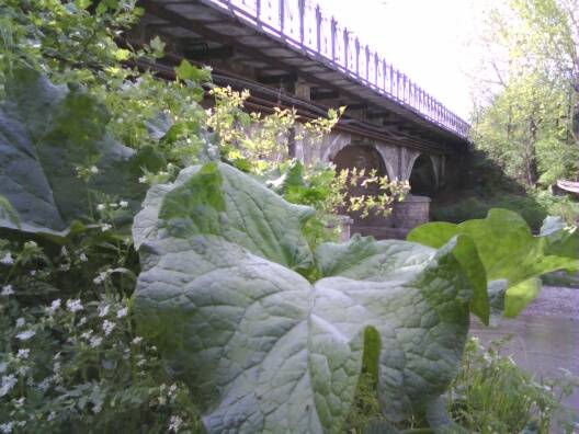 ���� �����