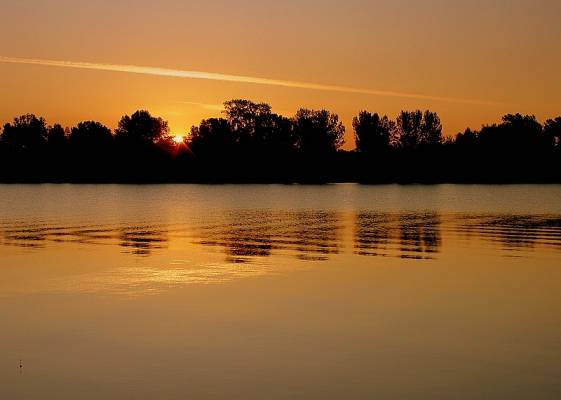 ����������� ����. ����.