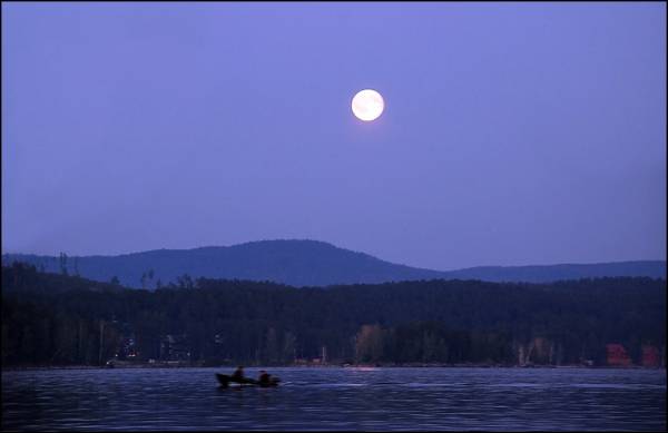 ����� ����