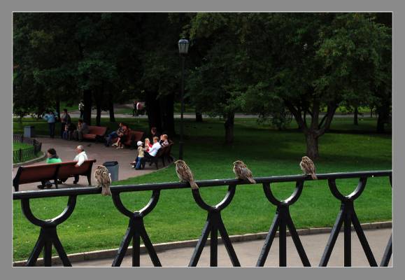 ���������-2