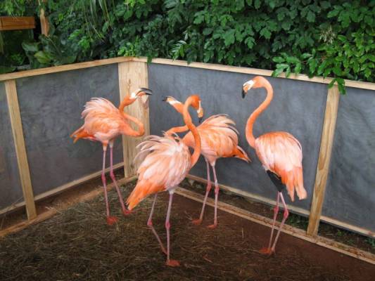 �������� ������ ��������