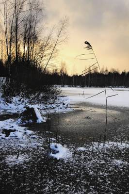 ���� ���