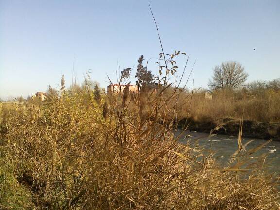 ����� �����