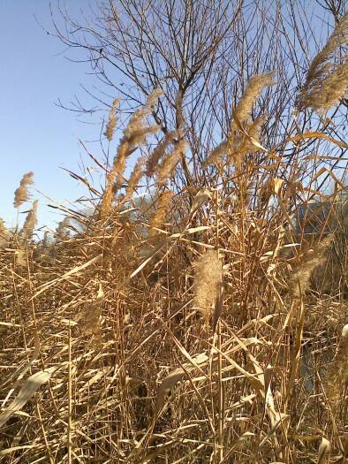 ��������� �����