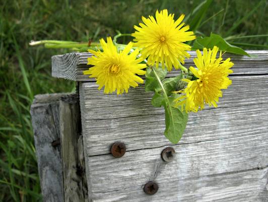 �����! ���:���