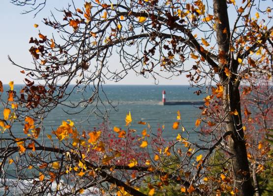 ����� ������