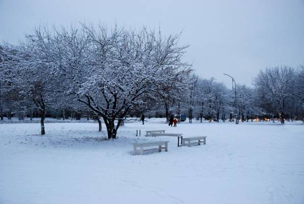 ���������� ����� ����� ���������