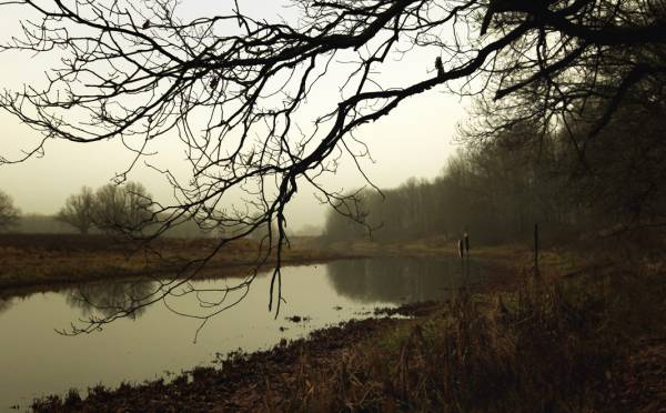 �������� ������