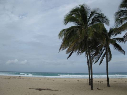 ������ �� ������ � ����� ����� ���� ���