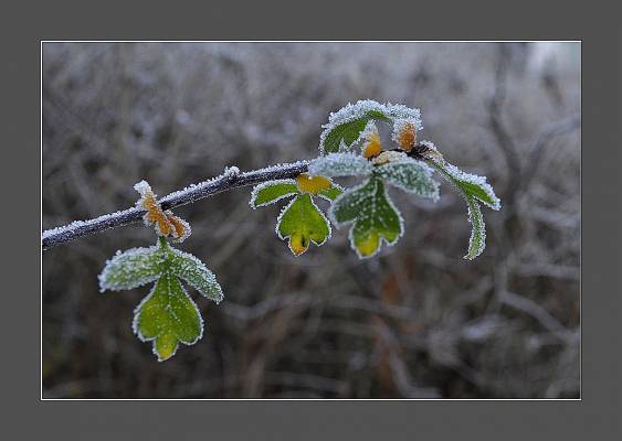 ���� �������