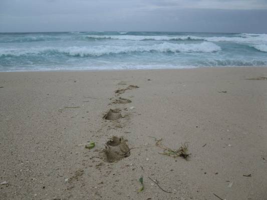 ...� ������ ����� ������ � ������ �������! )))