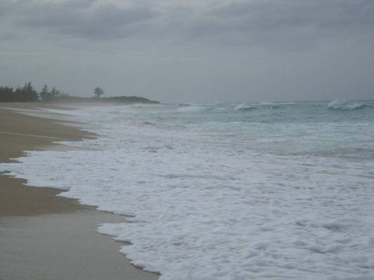 ��������� ��������� (��� �� ������ ���� ����� ����� ���� ���) ������ 2009