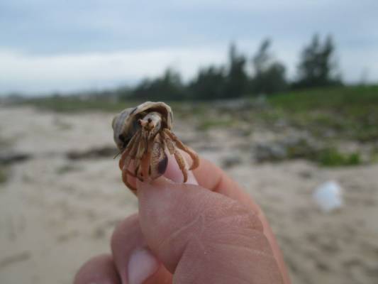 ��� ���������, ������, �� 2 ���� )))