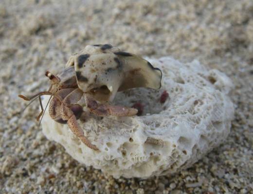 ��� ������� � ���� � ���� )))