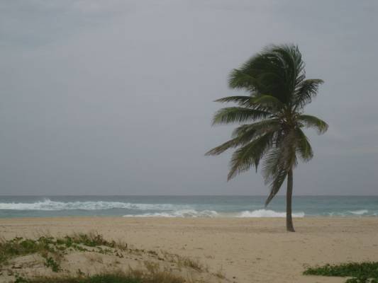 ������ �� �����, � ������ � �����.