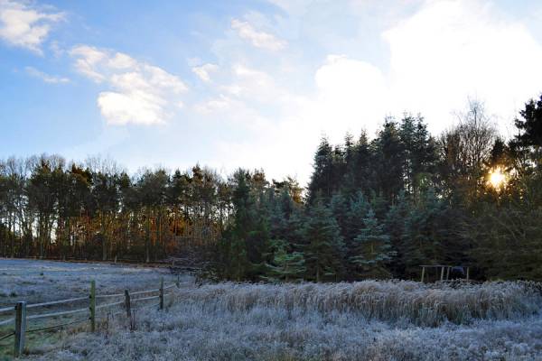 ��������� �� �����