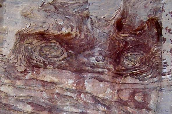 ������ �������