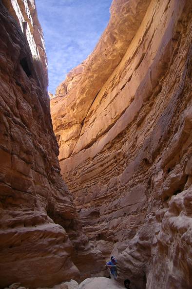 ��� ����� �� ����