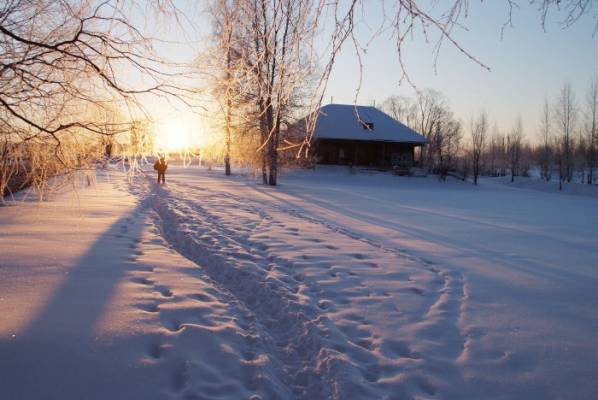 ����. �������� ����.