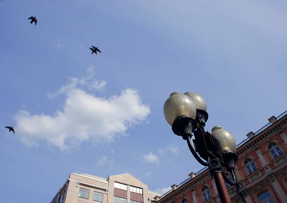 �������� ��� �������