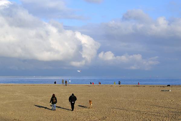 ���� � �������