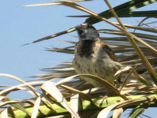 ��� �������� �������