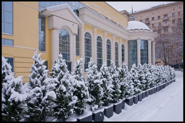 ������ �����. ��������������