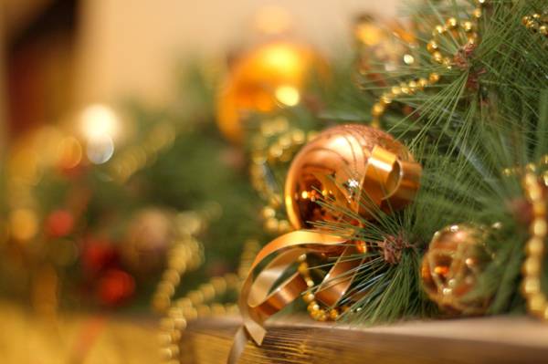 02.01.2010 �����