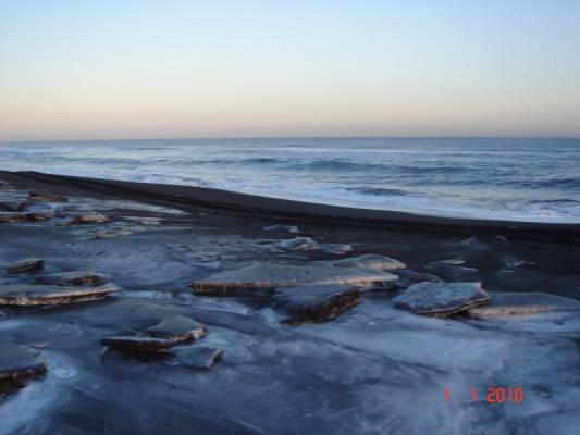 ����� ������ ������