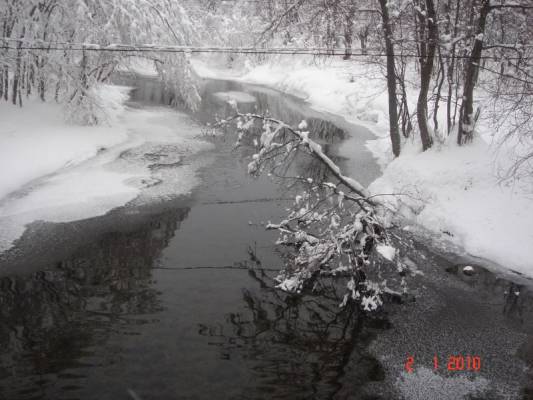 ���� �����