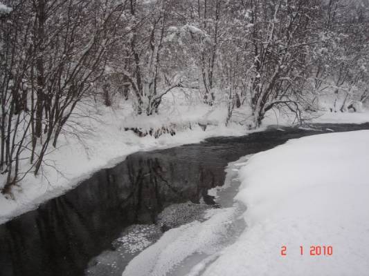 ���� �����