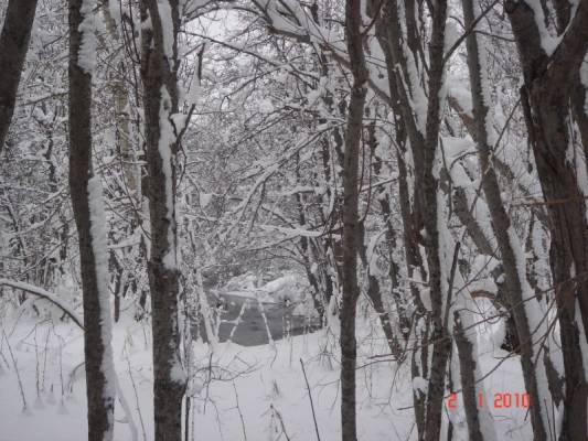 ������ ���