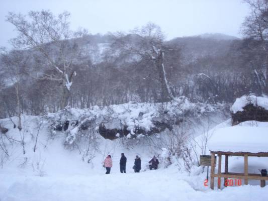 ����� ������� �� �������� �������