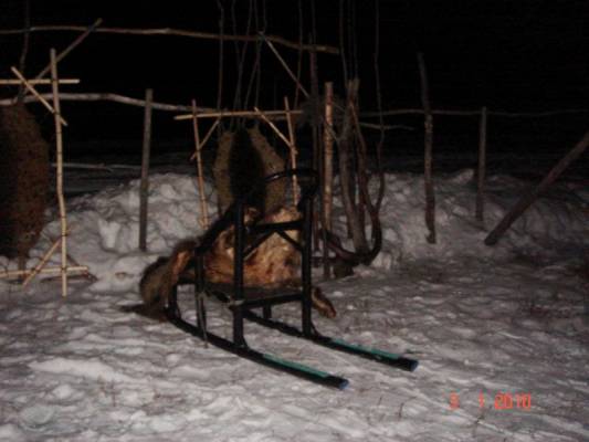 ���� ��� �������� �������